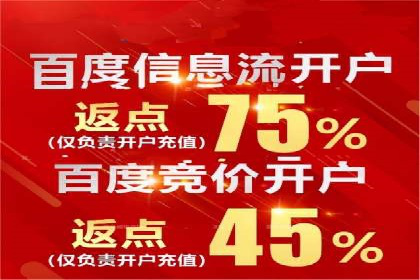 SEM服务公司助力电商增长案例